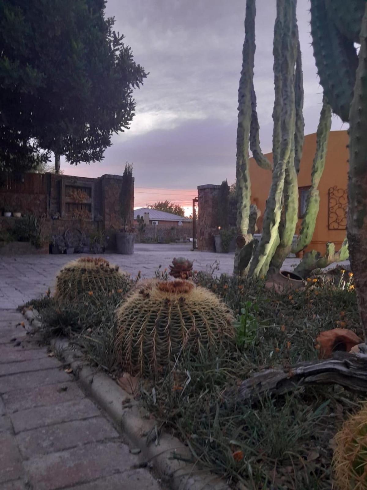 Villa Contessa Beaufort West Extérieur photo